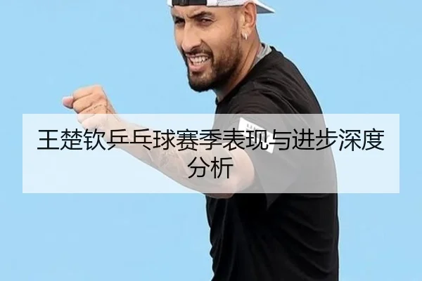 王楚钦乒乓球赛季表现与进步深度分析