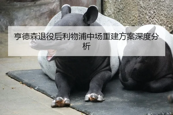 亨德森退役后利物浦中场重建方案深度分析