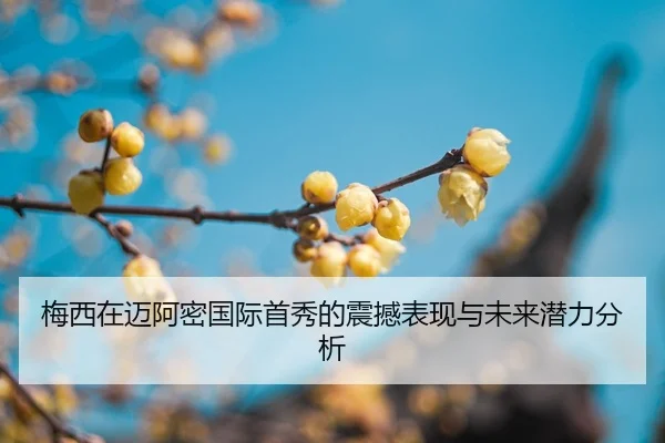 mei-xi-zai-mai-a-mi-guo-ji-shou-xiu-de-zhen-han-biao-xian-yu-wei-lai-qian-li-fen-xi-2-381.jpg