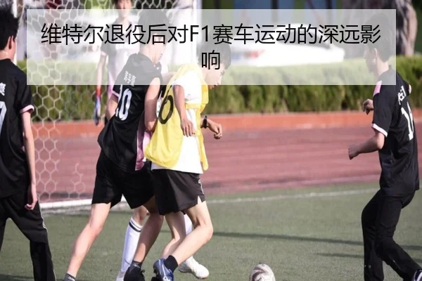 维特尔退役后对F1赛车运动的深远影响