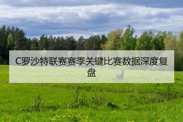luo-sha-te-lian-sai-sai-ji-guan-jian-bi-sai-shu-ju-shen-du-fu-pan-2-420.jpg